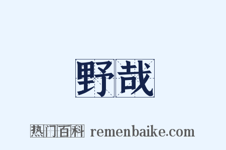 野哉是什么意思的图片